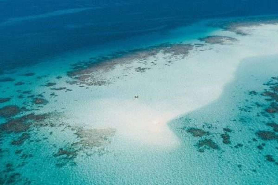 Los mejores lugares para bucear en el Mar Rojo
