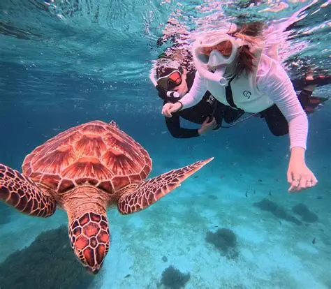 Bayada Island Diving