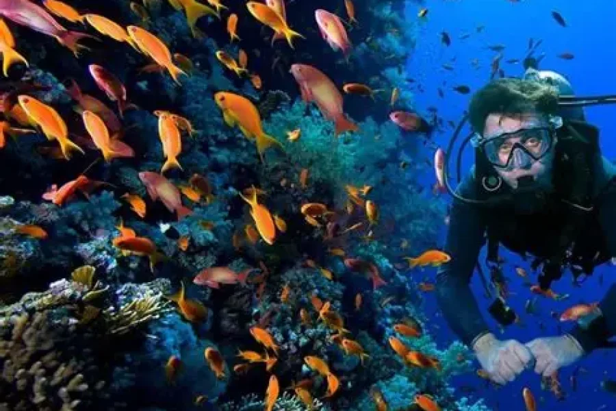 Red Sea Hidden Treasures