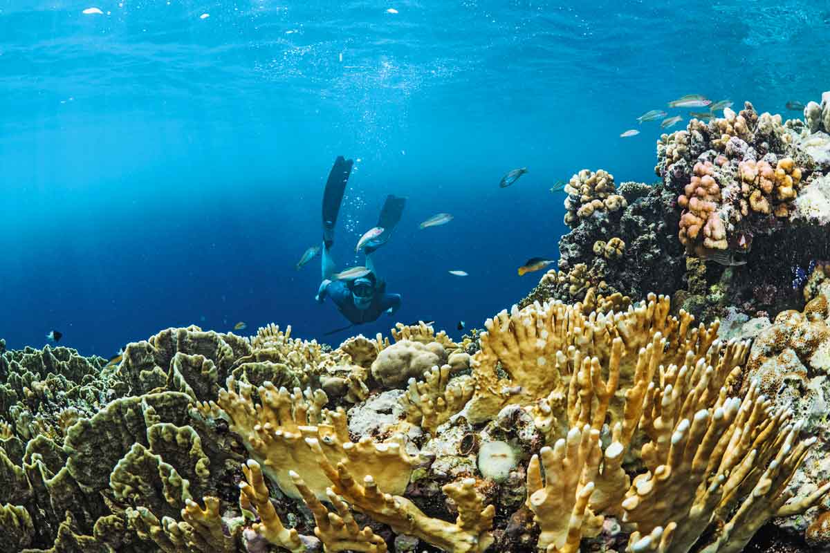 Red Sea Hidden Treasures