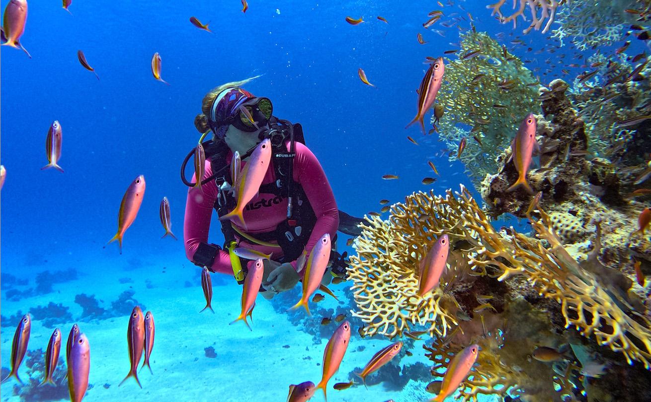 Top Red Sea Diving Spots