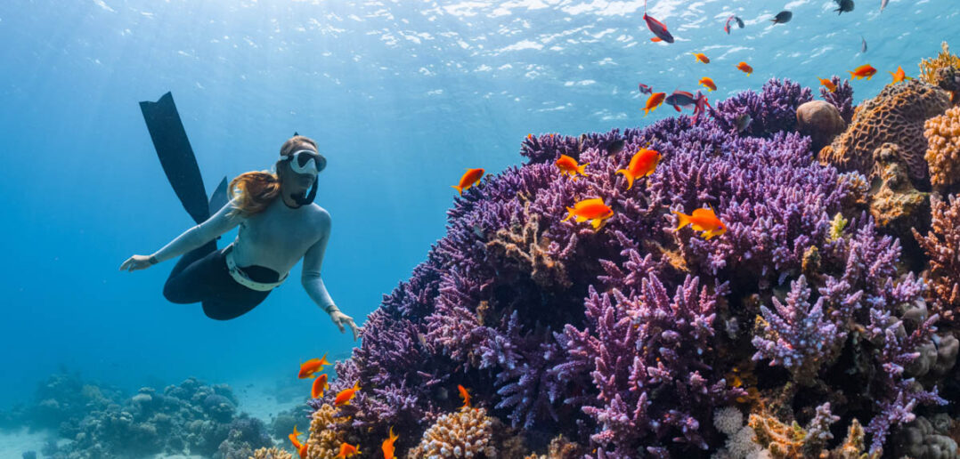 Top Red Sea Diving Spots