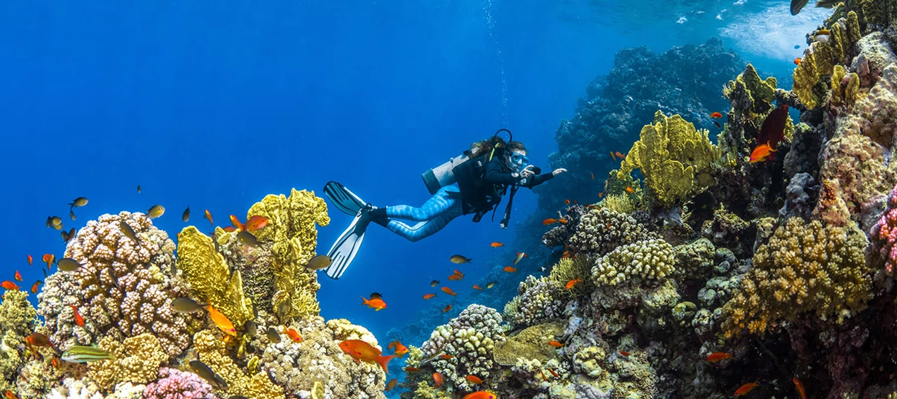 Top Red Sea Diving Spots