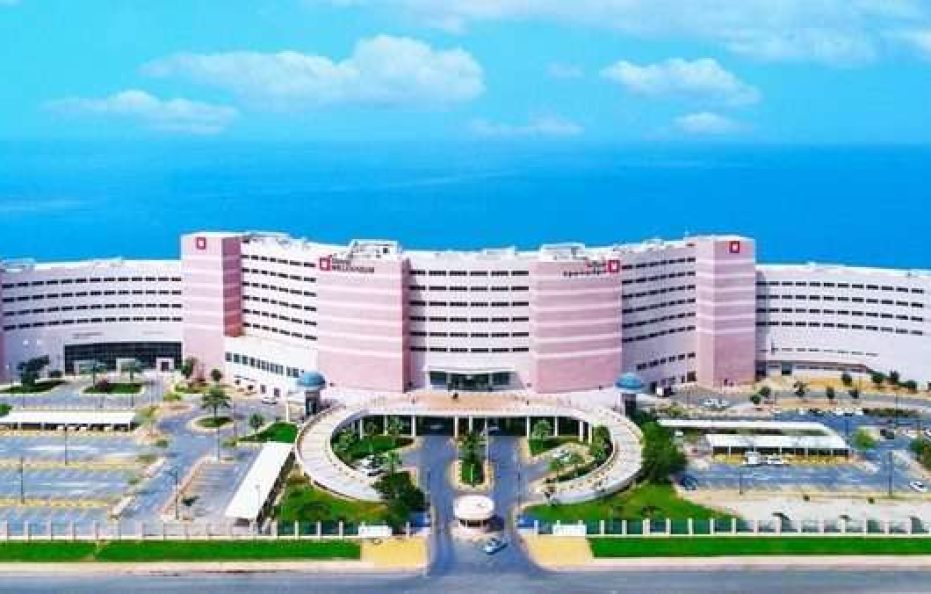 Grand Millennium Gizan